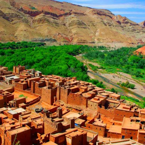 zagora oasis